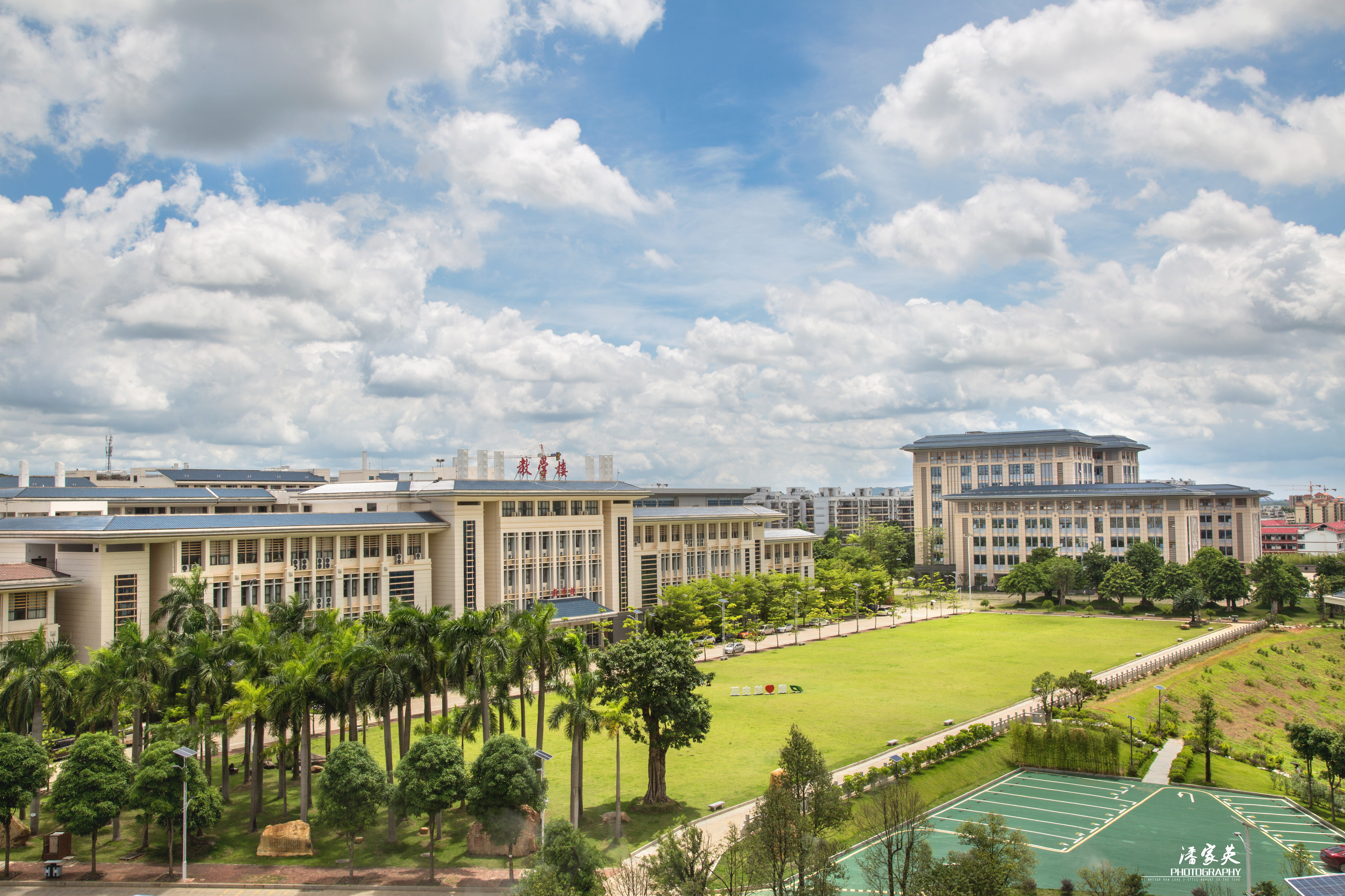 大草坪-1
